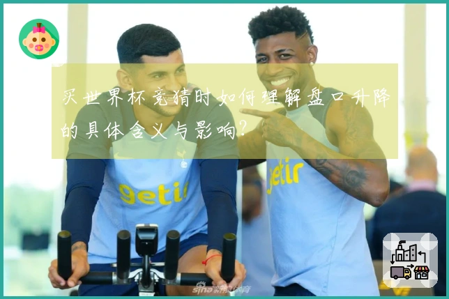买世界杯竞猜时如何理解盘口升降的具体含义与影响？