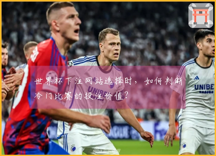 世界杯下注网站选择时，如何判断冷门比赛的投注价值？