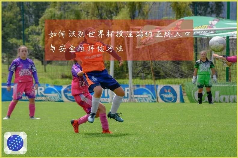 如何识别世界杯投注站的正规入口与安全性评估方法