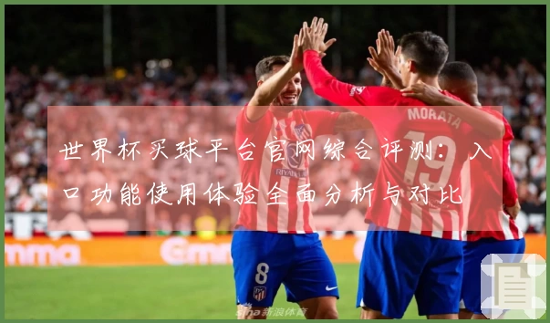 世界杯买球平台官网综合评测：入口功能使用体验全面分析与对比