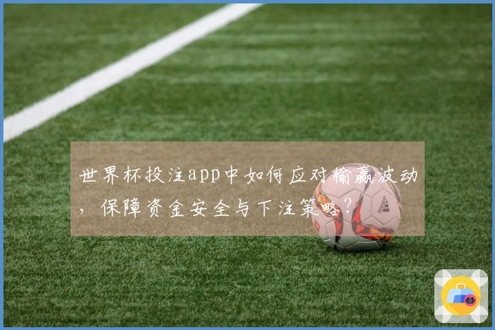 世界杯投注app中如何应对输赢波动，保障资金安全与下注策略？