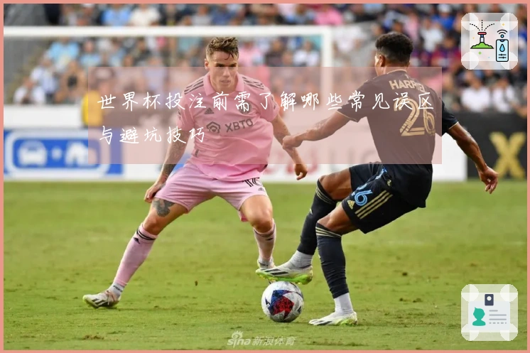 世界杯投注前需了解哪些常见误区与避坑技巧