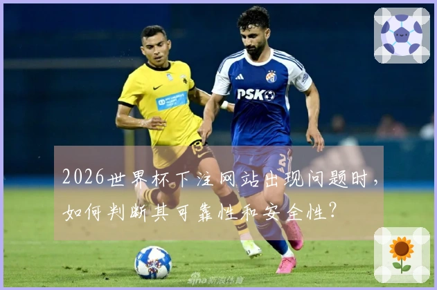 2026世界杯下注网站出现问题时，如何判断其可靠性和安全性？