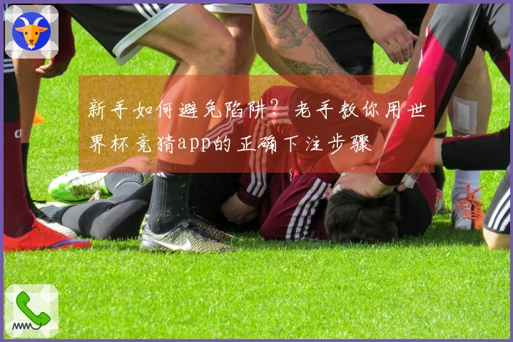 新手如何避免陷阱？老手教你用世界杯竞猜app的正确下注步骤
