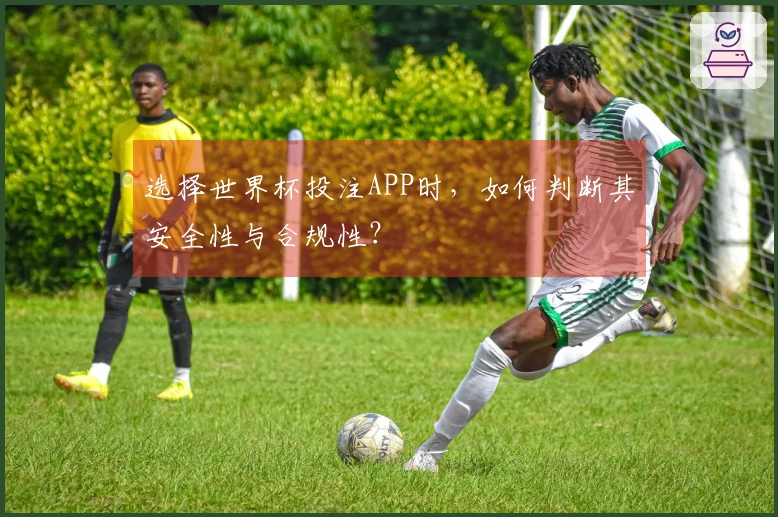 选择世界杯投注APP时，如何判断其安全性与合规性？