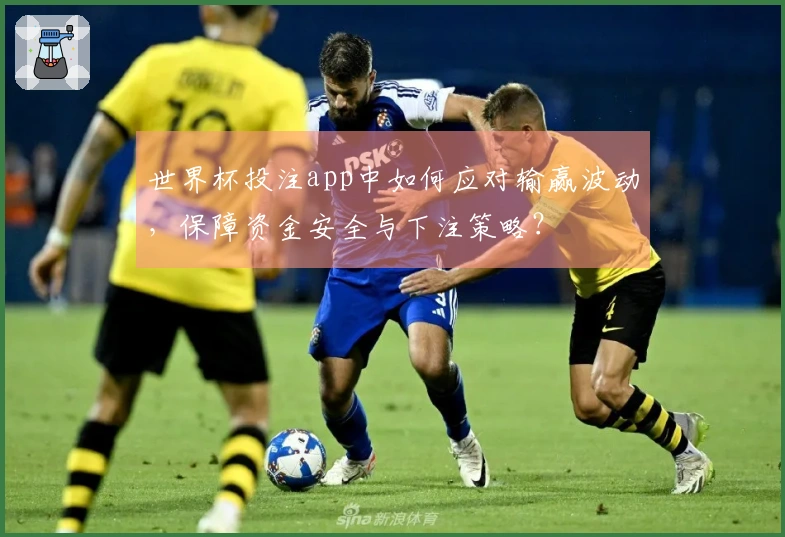 世界杯投注app中如何应对输赢波动，保障资金安全与下注策略？