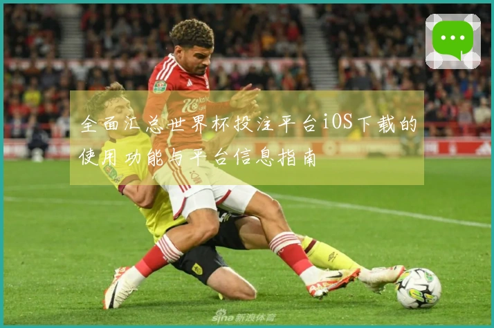 全面汇总世界杯投注平台iOS下载的使用功能与平台信息指南