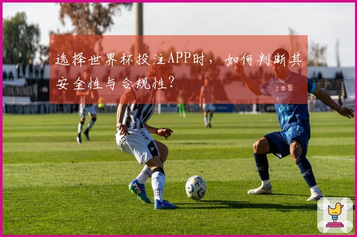 选择世界杯投注APP时，如何判断其安全性与合规性？