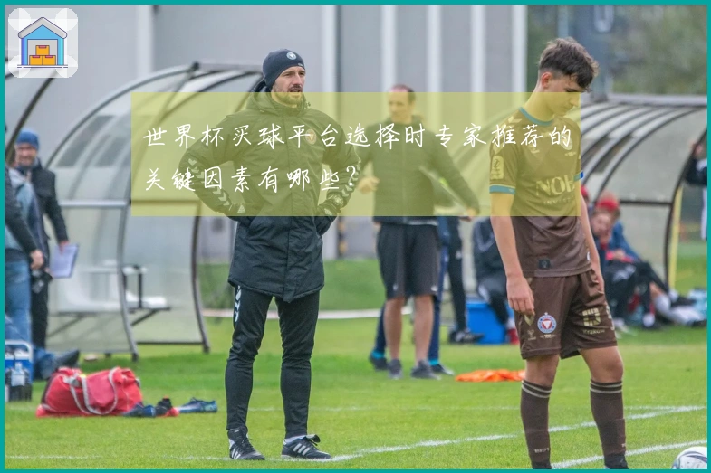 世界杯买球平台选择时专家推荐的关键因素有哪些？