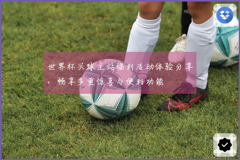 世界杯买球主站福利活动体验分享，畅享多重惊喜与便利功能