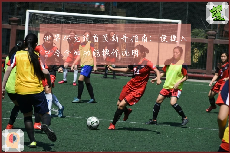 世界杯竞猜首页新手指南:便捷入口与全面功能操作说明