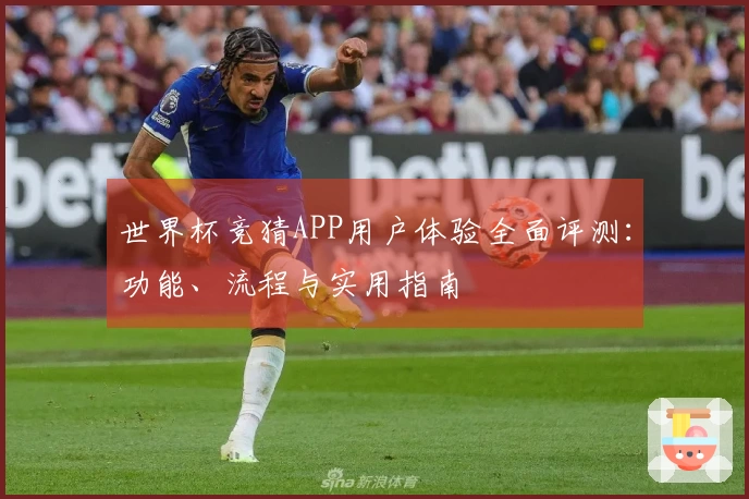 世界杯竞猜APP用户体验全面评测：功能、流程与实用指南